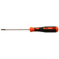 Skandia schroevendraaier TX20x100mm
